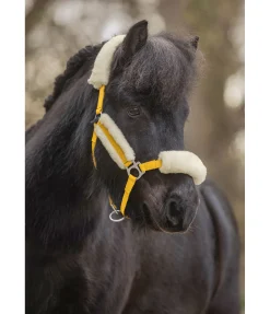 SHOWMASTER Licol poulain et shetland en polaire Teddy Cozy Adjustable mangue dorée Sale
