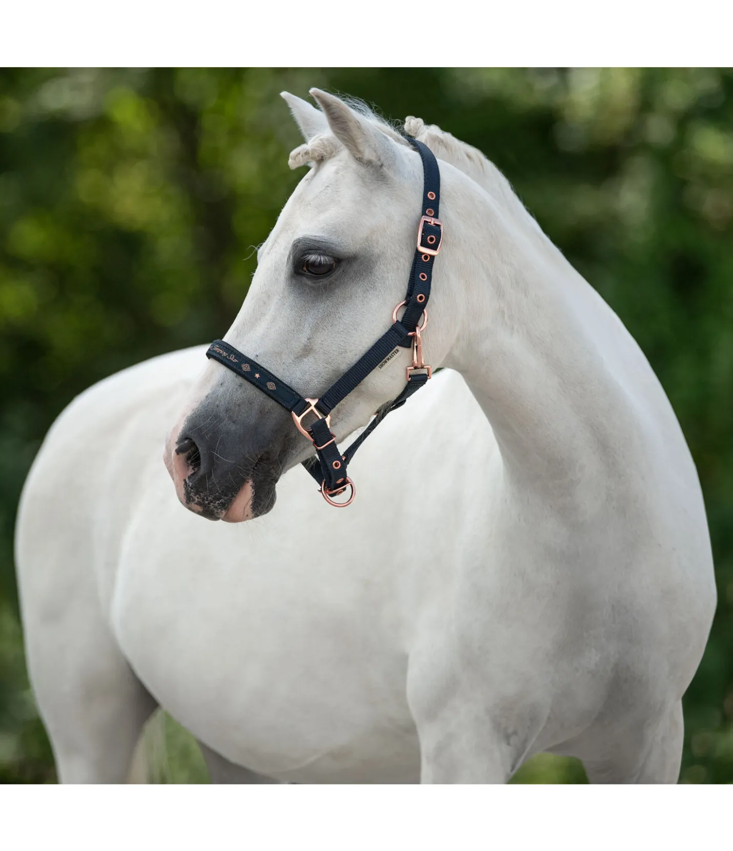 SHOWMASTER Licol poulain et shetland Future Star marine /rose doré Discount