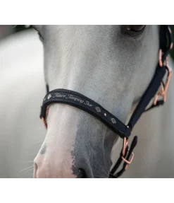 SHOWMASTER Licol poulain et shetland Future Star marine /rose doré Discount