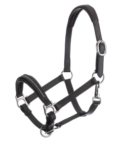 SHOWMASTER Licol poulain et shetland en cuir orné de strass Selina marron foncé New