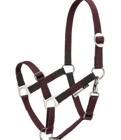SHOWMASTER Licol poulain et shetland Katy acajou Discount