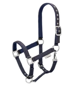 Felix Bühler Licol poulain et shetland Twinkle navy Hot