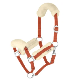 SHOWMASTER Licol poulain et shetland en polaire Teddy Cozy Adjustable orange Sale