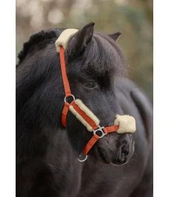 SHOWMASTER Licol poulain et shetland en polaire Teddy Cozy Adjustable orange Sale