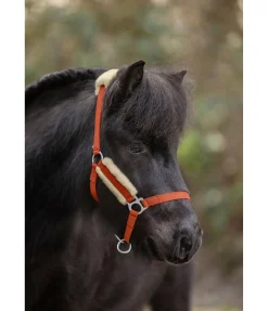 SHOWMASTER Licol poulain et shetland en polaire Teddy Cozy Adjustable orange Sale