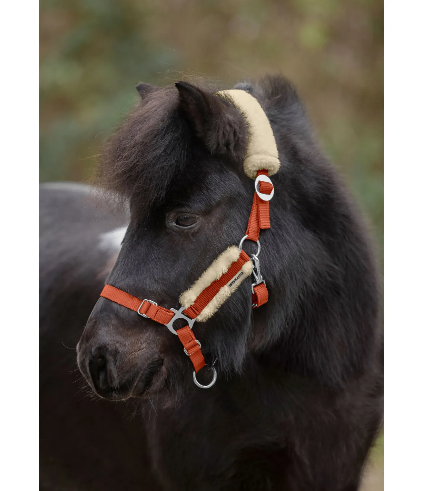 SHOWMASTER Licol poulain et shetland en polaire Teddy Cozy Adjustable orange Sale
