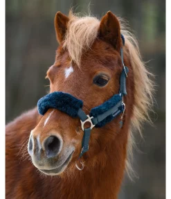 SHOWMASTER Licol poulain et shetland en polaire Teddy Cozy Adjustable pétrole Best