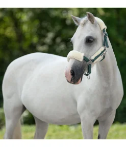 SHOWMASTER Licol poulain et shetland en polaire Teddy Cozy Adjustable vert d´eau Best