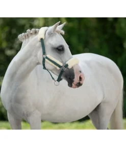 SHOWMASTER Licol poulain et shetland en polaire Teddy Cozy Adjustable vert d´eau Best