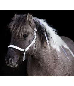 STEEDS Licol réfléchissant Shiny gris Online