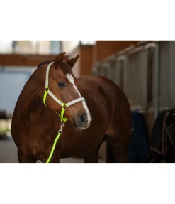 STEEDS Licol réfléchissant Shiny jaune Best