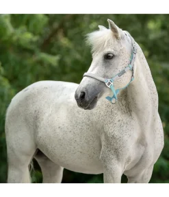 STEEDS Licol réfléchissant Shiny menthe claire Hot