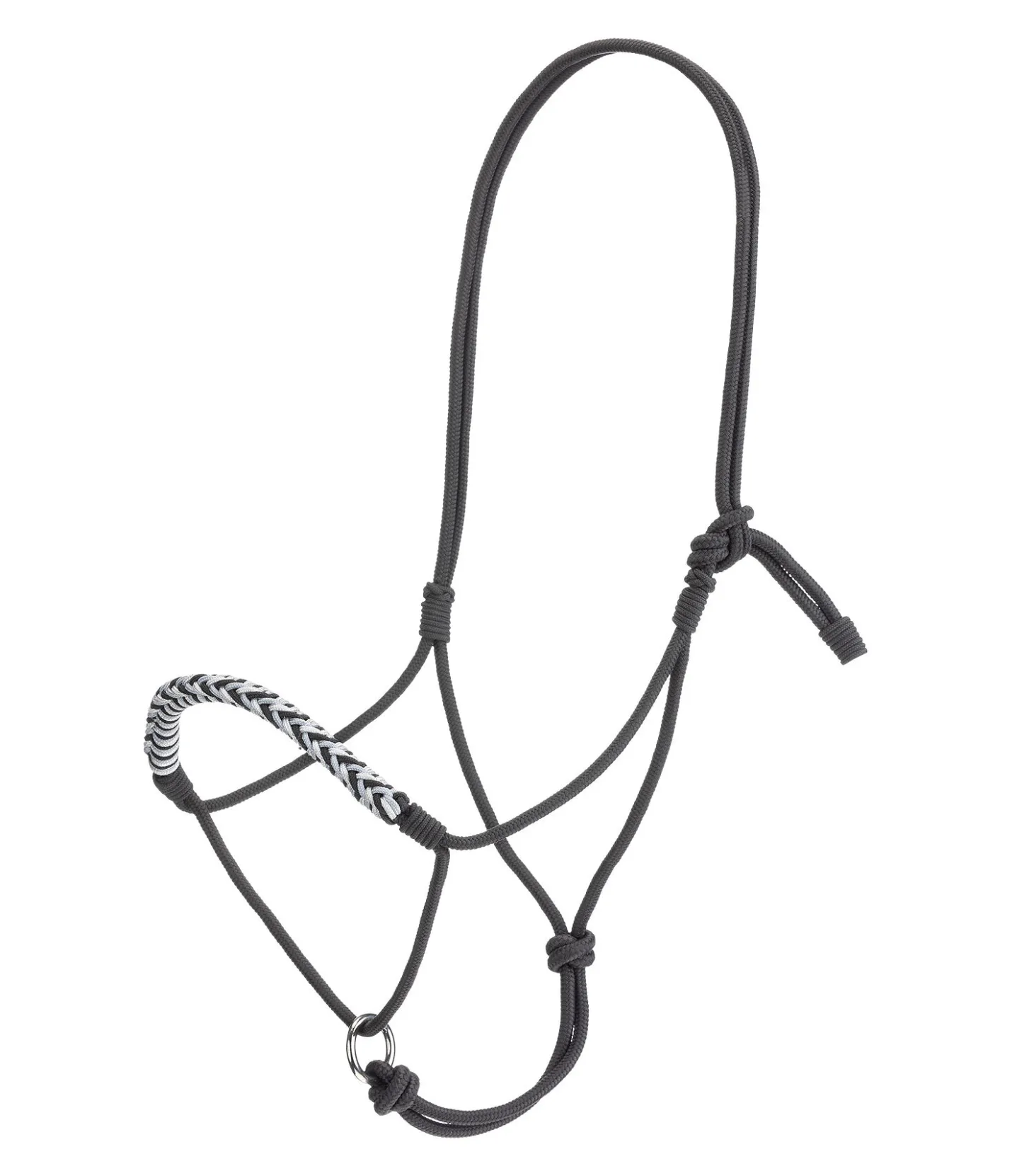STONEDEEK Licol sans noeuds Bonny gris Sale