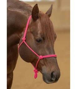 STONEDEEK Licol éthologique Bo fuchsia Hot