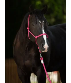 STONEDEEK Licol éthologique Bo fuchsia Hot
