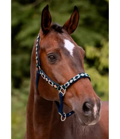 SHOWMASTER Licol tricolore navy