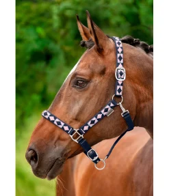SHOWMASTER Licol tricolore navy