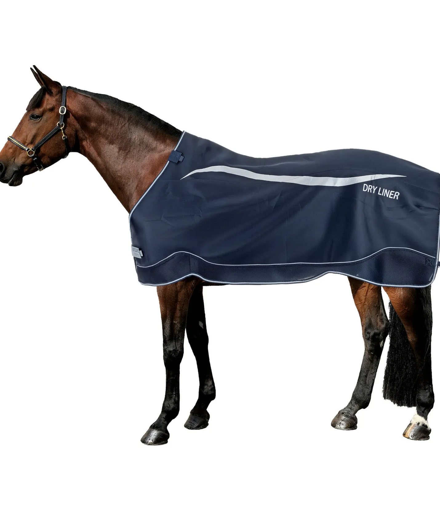 HORSEWARE Liner séchant , 50 g navy
