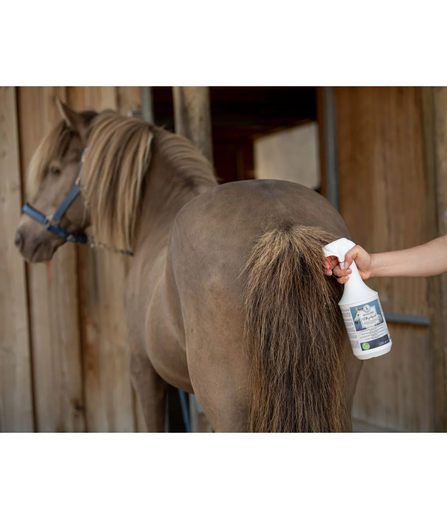 SHOWMASTER Liquide de soin Hesta-Care Clearance