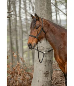 TWIN OAKS Longe de randonnée 2 en1 Pinewood noir Outlet