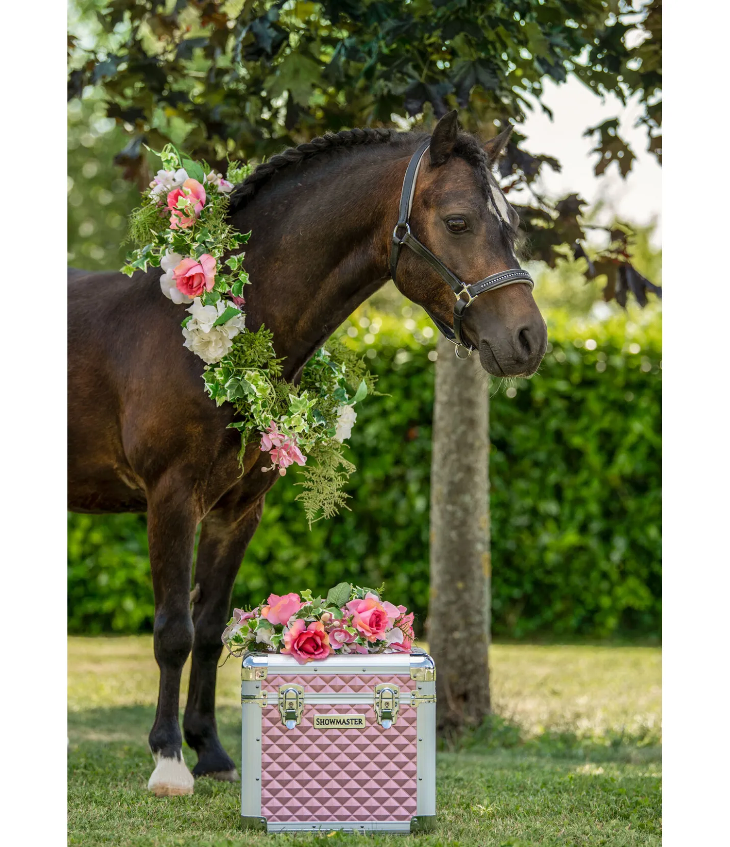 SHOWMASTER Malette Alu Case Colour rose pâle Best