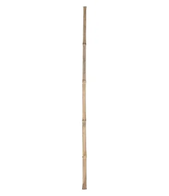 Krämer Manche pour balai en bambou Best