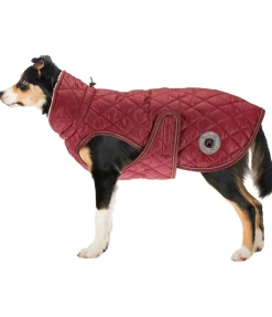 sugar dog Manteau avec doublure en polaire Teddy pour chien Archie, 160 g pomme tatin Online