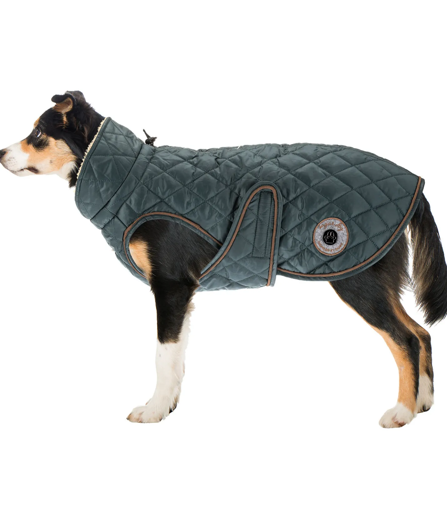 sugar dog Manteau avec doublure en polaire Teddy pour chien Archie, 160 g thé vert New
