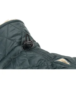 sugar dog Manteau avec doublure en polaire Teddy pour chien Archie, 160 g thé vert New