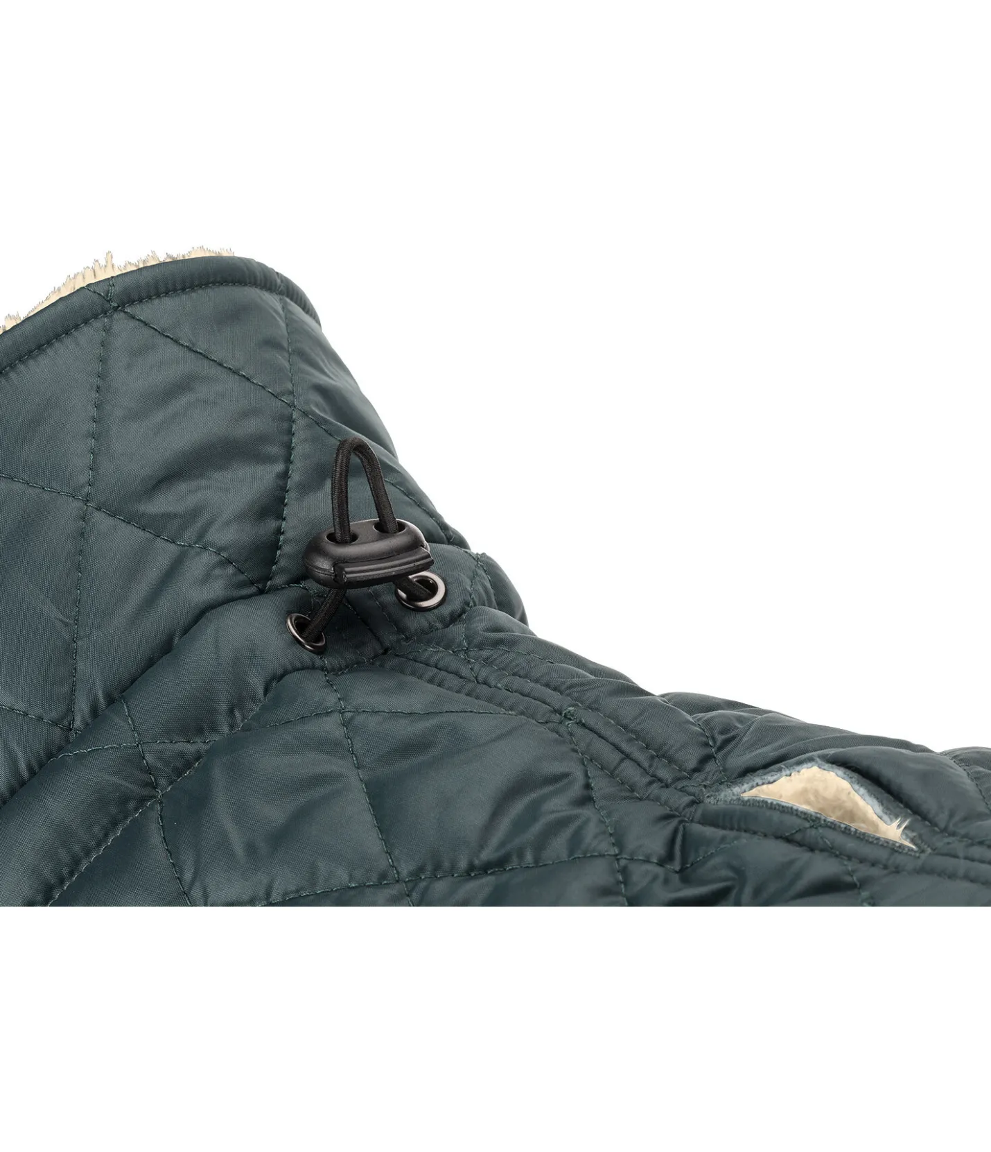 sugar dog Manteau avec doublure en polaire Teddy pour chien Archie, 160 g thé vert New