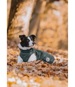 sugar dog Manteau avec doublure en polaire Teddy pour chien Archie, 160 g thé vert New