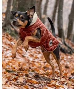 sugar dog Manteau avec doublure en polaire Teddy pour chien Archie, 160 g cuivre II Outlet