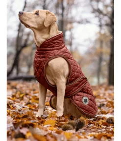 sugar dog Manteau avec doublure en polaire Teddy pour chien Archie, 160 g cuivre II Outlet