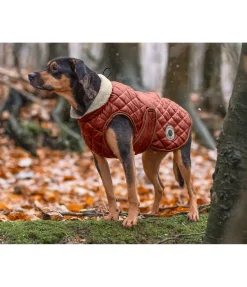 sugar dog Manteau avec doublure en polaire Teddy pour chien Archie, 160 g cuivre II Outlet