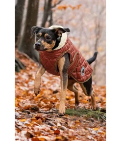 sugar dog Manteau avec doublure en polaire Teddy pour chien Archie, 160 g cuivre II Outlet