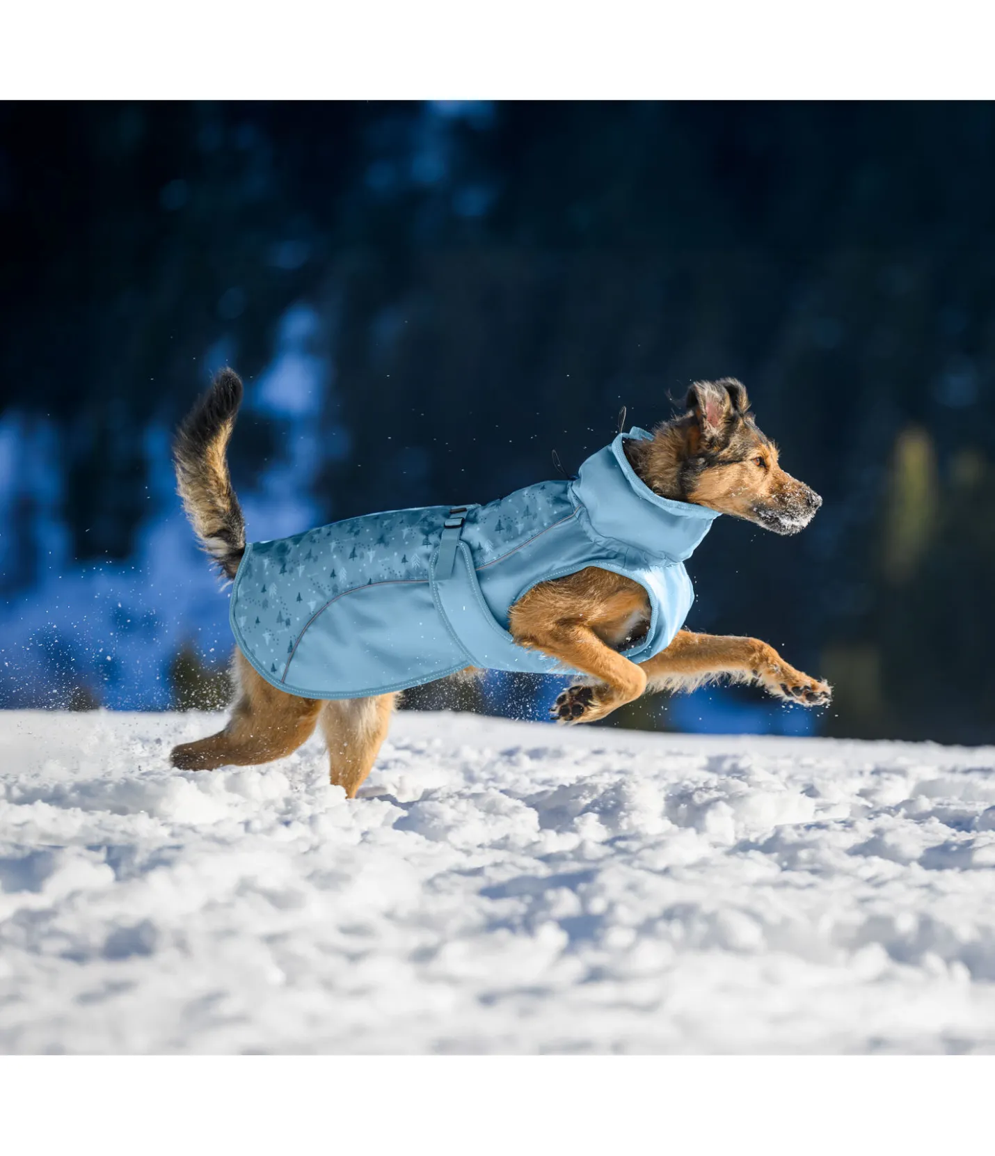 sugar dog Manteau d'hiver pour chien Wonderland, 140 g aqua clair Hot
