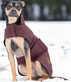 sugar dog Manteau d'hiver pour chien Beaver Creek, 400 g bordeaux New