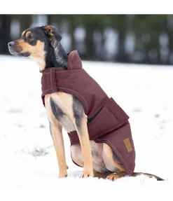 sugar dog Manteau d'hiver pour chien Beaver Creek, 400 g bordeaux New