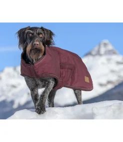 sugar dog Manteau d'hiver pour chien Beaver Creek, 400 g bordeaux New