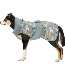 sugar dog Manteau d'hiver pour chien Candy Cane, 120 g matcha foncé Sale