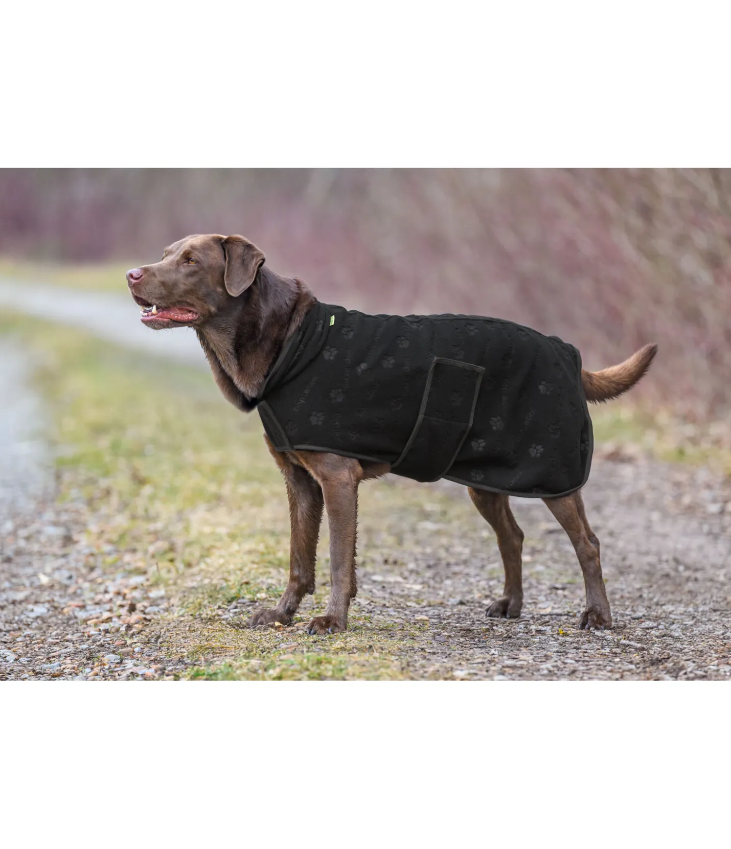 sugar dog Manteau polaire Lino noir Best