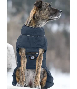 sugar dog Manteau pour chien matelassé avec LED Arlo, 300 g navy Hot