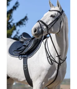 SHOWMASTER Martingale à anneaux noir New