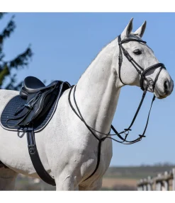 SHOWMASTER Martingale à anneaux noir New