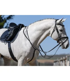 SHOWMASTER Martingale à anneaux noir New