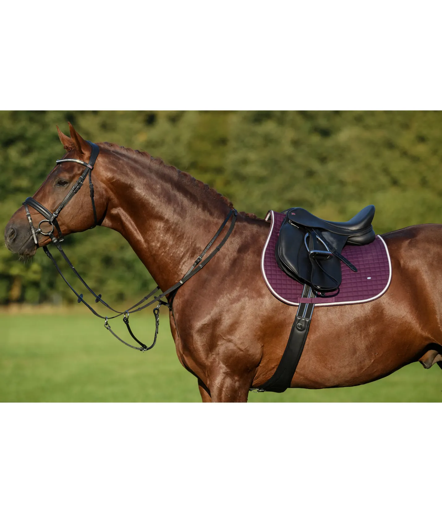 CLARIDGE HOUSE Martingale en cuir gras Quick Fit II noir Best