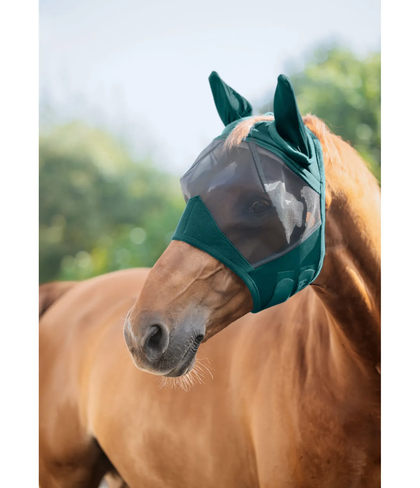 Felix Bühler Masque anti-mouches Basic vert tropical Discount