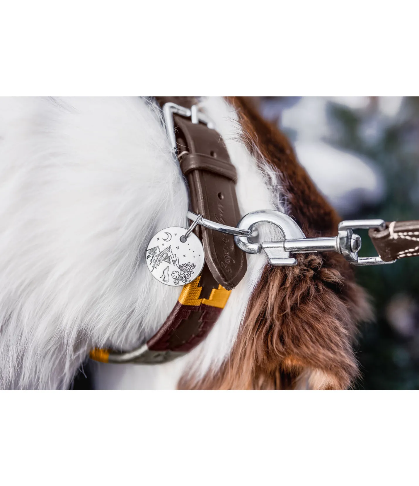 sugar dog Médaille Travel Buddy argenté Sale