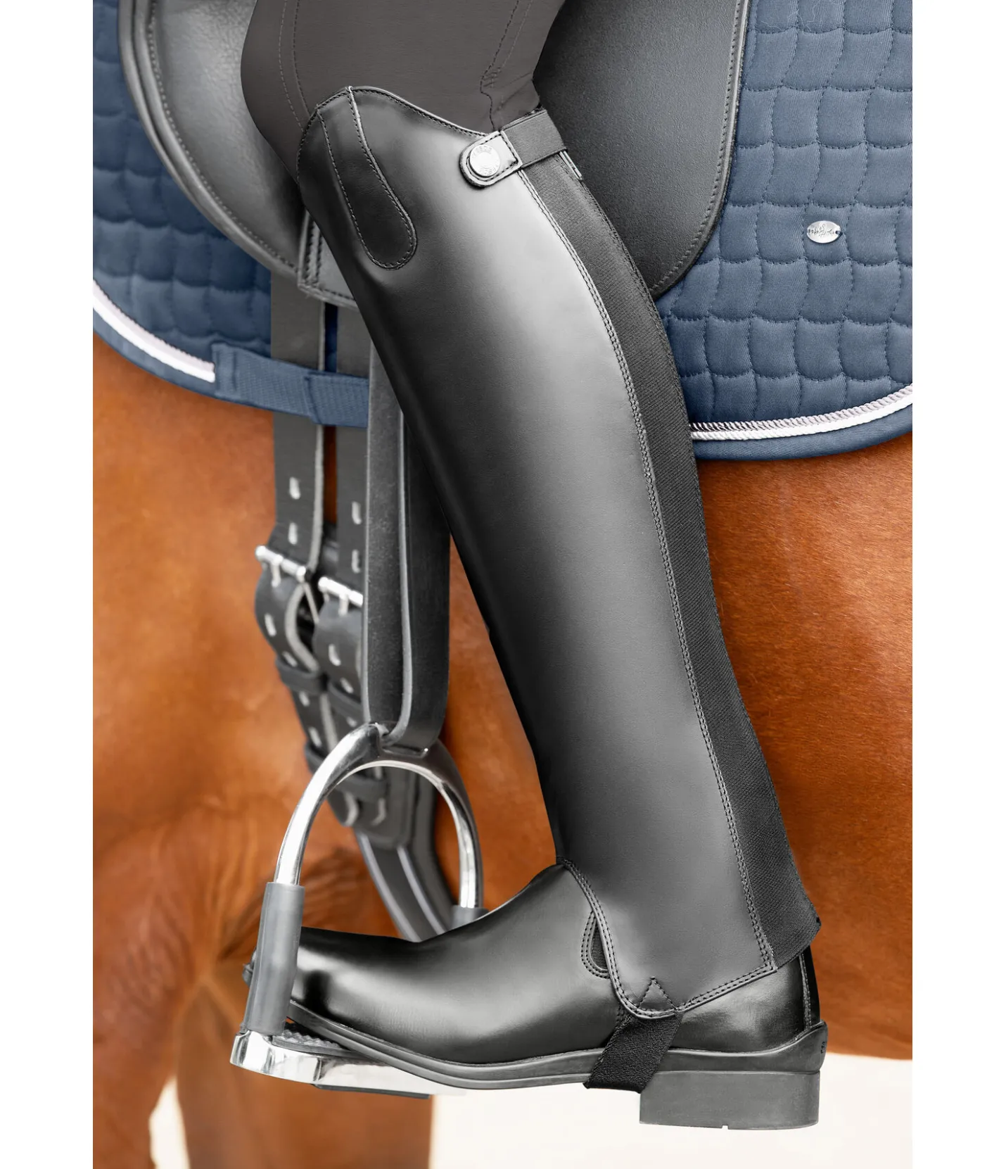 STEEDS Mini-chaps Elegant noir Discount