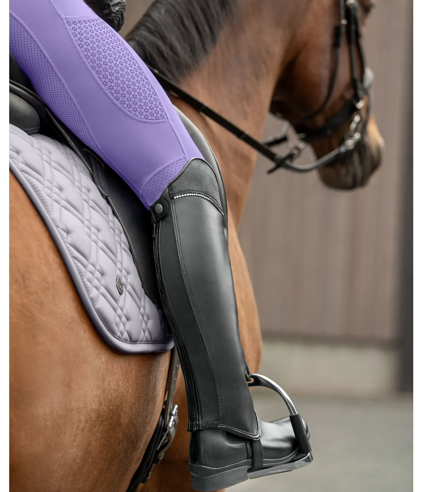 STEEDS Mini-chaps d'équitation Glamour noir Discount